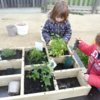 carré potager enfant