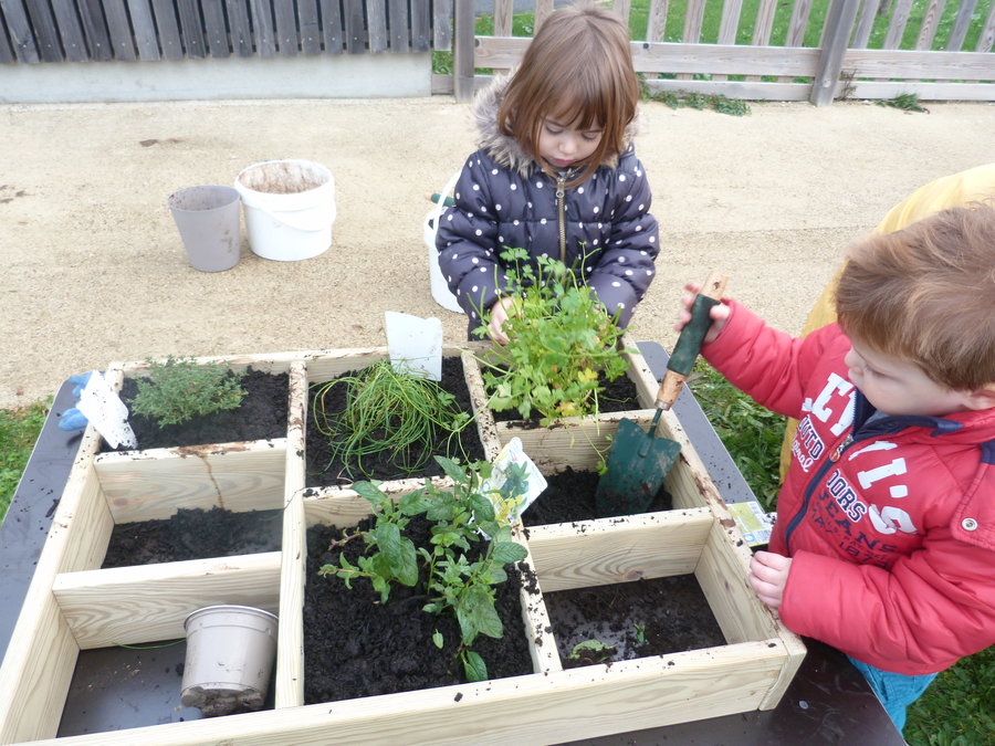 carré potager enfant